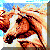 etude chevaux