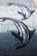 dauphins