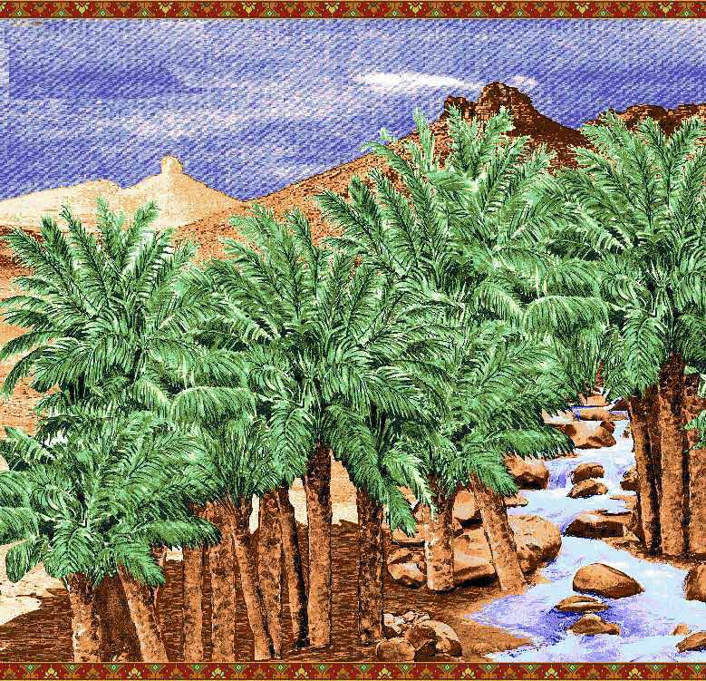 oasis