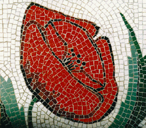 coquelicot